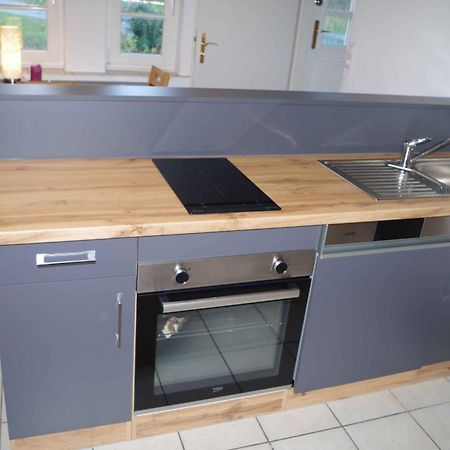 Ferien-Wohnung Am Menzer-Park Neckargemünd Eksteriør billede